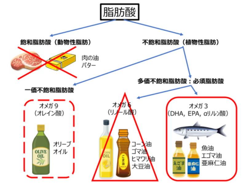 脂肪酸の分類